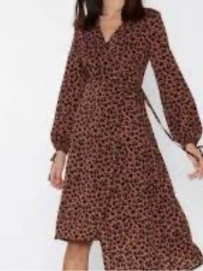 Nasty Gal Copy Cat  Leopard Wrap Dress